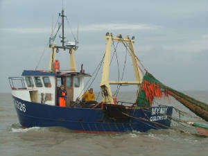 essextrawler2006.jpg